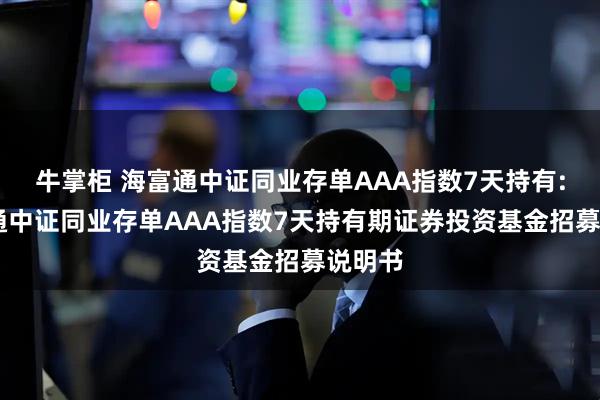 牛掌柜 海富通中证同业存单AAA指数7天持有: 海富通中证同业存单AAA指数7天持有期证券投资基金招募说明书