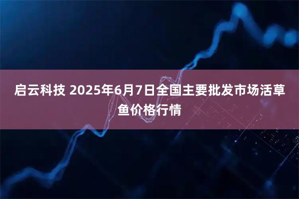 启云科技 2025年6月7日全国主要批发市场活草鱼价格行情